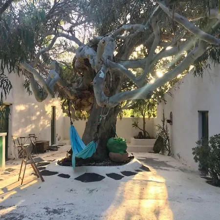 Bed & Breakfast Patio Ii At La Asomada (Lanzarote)